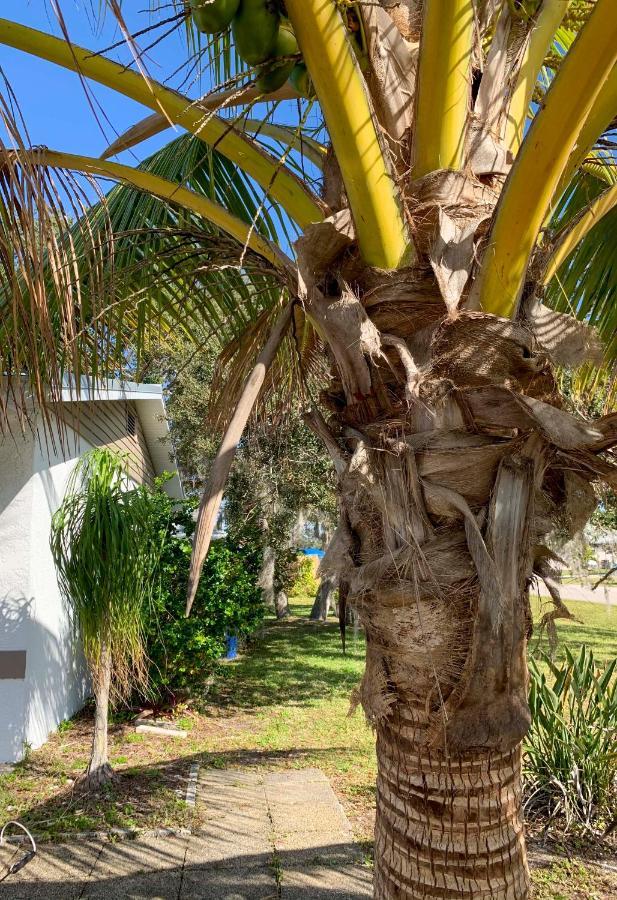 Quiet Venice Retreat With Private Lanai And Pool! Buitenkant foto